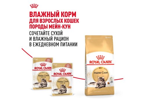 Royal Canin Breed cat Maine Coon / Сухой корм Роял Канин для Взрослых кошек породы Мэйн Кун старше 15 месяцев