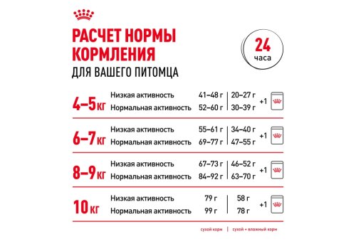 Royal Canin Breed cat Maine Coon / Сухой корм Роял Канин для Взрослых кошек породы Мэйн Кун старше 15 месяцев