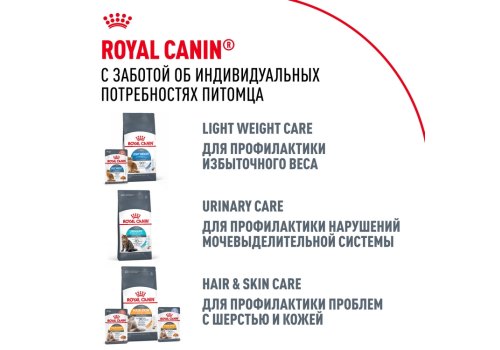 Royal Canin Breed cat Maine Coon / Сухой корм Роял Канин для Взрослых кошек породы Мэйн Кун старше 15 месяцев