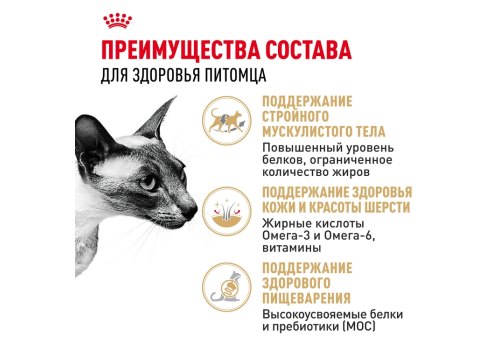 Royal Canin Breed cat Siamese / Сухой корм Роял Канин для взрослых кошек Сиамской породы старше 1 года