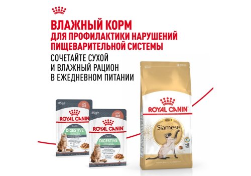 Royal Canin Breed cat Siamese / Сухой корм Роял Канин для взрослых кошек Сиамской породы старше 1 года