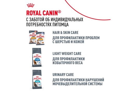 Royal Canin Breed cat Siamese / Сухой корм Роял Канин для взрослых кошек Сиамской породы старше 1 года