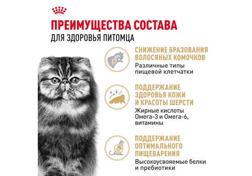 Royal Canin Breed cat Persian / Сухой корм Роял Канин для Взрослых кошек Персидской породы старше 1 года