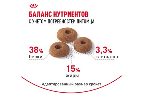 Royal Canin Digestive Care / Сухой корм Роял Канин Дайджестив Кэа для кошек с Расстройствами пищеварения