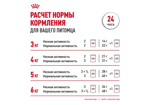 Royal Canin Digestive Care / Сухой корм Роял Канин Дайджестив Кэа для кошек с Расстройствами пищеварения