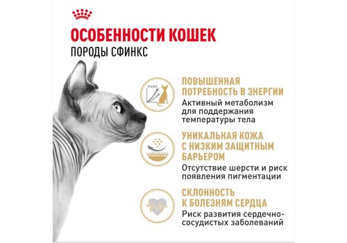 Royal Canin Breed cat Sphynx / Сухой корм Роял Канин для взрослых кошек породы Сфинкс страше 1 года