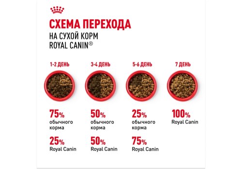 Royal Canin Breed cat Sphynx / Сухой корм Роял Канин для взрослых кошек породы Сфинкс страше 1 года
