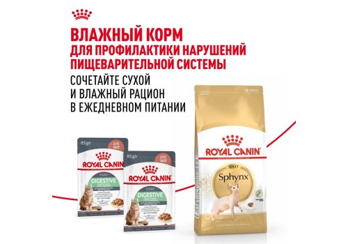 Royal Canin Breed cat Sphynx / Сухой корм Роял Канин для взрослых кошек породы Сфинкс страше 1 года