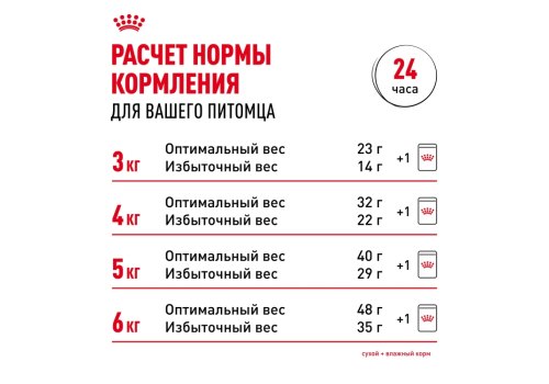 Royal Canin Breed cat Sphynx / Сухой корм Роял Канин для взрослых кошек породы Сфинкс страше 1 года