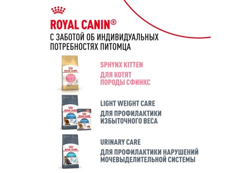 Royal Canin Breed cat Sphynx / Сухой корм Роял Канин для взрослых кошек породы Сфинкс страше 1 года