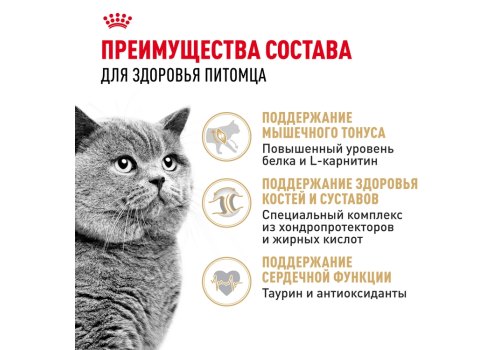 Royal Canin Breed cat British Shorthair / Сухой корм Роял Канин для Взрослых кошек породы Британская короткошерстная