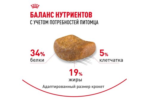 Royal Canin Breed cat British Shorthair / Сухой корм Роял Канин для Взрослых кошек породы Британская короткошерстная