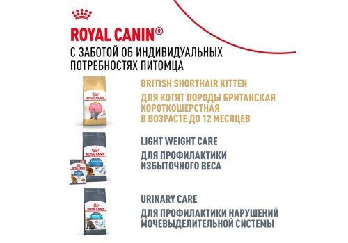 Royal Canin Breed cat British Shorthair / Сухой корм Роял Канин для Взрослых кошек породы Британская короткошерстная