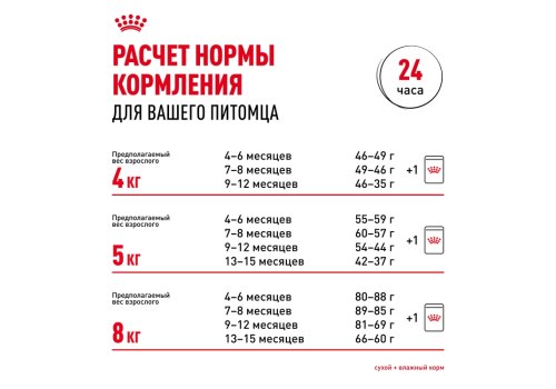 Royal Canin Breed cat Kitten Maine Coon / Сухой корм Роял Канин для Котят породы Мэйн Кун в возрасте до 15 месяцев