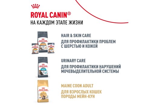 Royal Canin Breed cat Kitten Maine Coon / Сухой корм Роял Канин для Котят породы Мэйн Кун в возрасте до 15 месяцев