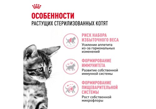Royal Canin Kitten Sterilised / Сухой корм Роял Канин Киттен Стерилайзд для Стерилизованных и кастрированных Котят в возрасте до 1 года