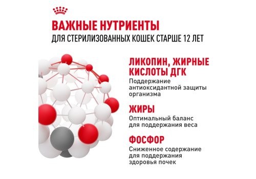 Royal Canin Sterilised 12+ / Сухой корм Роял Канин Стерилайзд для Пожилых кастрированных котов и Стерилизованных кошек старше 12 лет