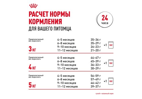 Royal Canin Breed cat Kitten British Shorthair / Сухой корм Роял Канин для Котят породы Британская короткошерстная в возрасте от 4 до 12 месяцев