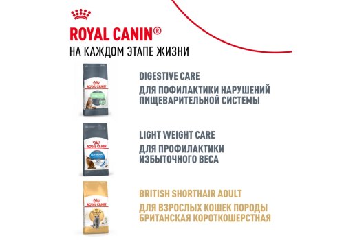 Royal Canin Breed cat Kitten British Shorthair / Сухой корм Роял Канин для Котят породы Британская короткошерстная в возрасте от 4 до 12 месяцев