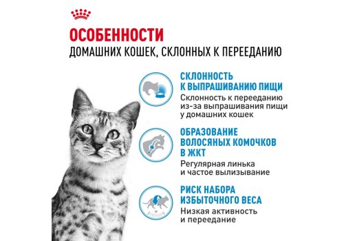 Royal Canin Indoor Appetite Control / Сухой корм Роял Канин Индор Аппетит Контрол для кошек Живущих в помещении и склонных к перееданию