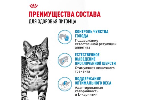 Royal Canin Indoor Appetite Control / Сухой корм Роял Канин Индор Аппетит Контрол для кошек Живущих в помещении и склонных к перееданию