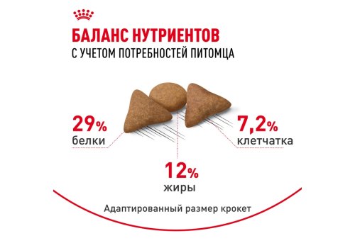 Royal Canin Indoor Appetite Control / Сухой корм Роял Канин Индор Аппетит Контрол для кошек Живущих в помещении и склонных к перееданию