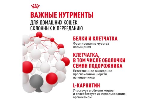 Royal Canin Indoor Appetite Control / Сухой корм Роял Канин Индор Аппетит Контрол для кошек Живущих в помещении и склонных к перееданию