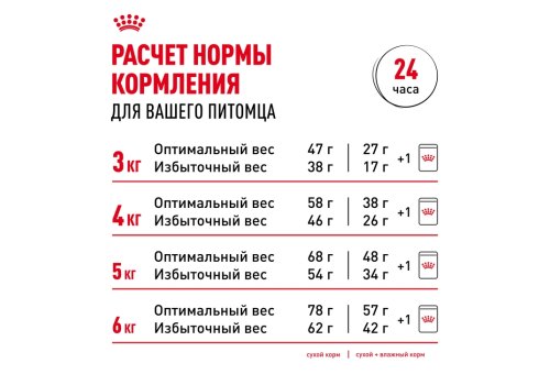 Royal Canin Indoor Appetite Control / Сухой корм Роял Канин Индор Аппетит Контрол для кошек Живущих в помещении и склонных к перееданию
