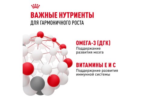 Royal Canin Kitten Instinctive / Влажный корм (Консервы-Паучи) Роял Канин Киттен Инстинктив для Котят в возрасте от 4 до 12 месяцев в Соусе (цена за упаковку)