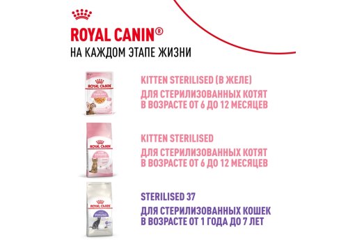 Royal Canin Kitten Instinctive / Влажный корм (Консервы-Паучи) Роял Канин Киттен Инстинктив для Котят в возрасте от 4 до 12 месяцев в Соусе (цена за упаковку)