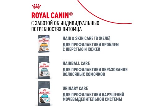 Royal Canin Hair & Skin Care Gravy / Влажный корм (Консервы-Паучи) Роял Канин Хэйр & Скин Кэа для кошек Здоровая кожа и шерсть в Соусе (цена за упаковку)