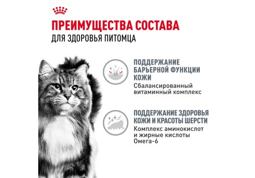 Royal Canin Hair & Skin Care Gravy / Влажный корм (Консервы-Паучи) Роял Канин Хэйр & Скин Кэа для кошек Здоровая кожа и шерсть в Соусе (цена за упаковку)
