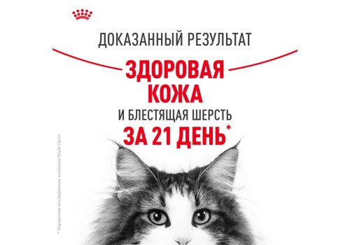 Royal Canin Hair & Skin Care Gravy / Влажный корм (Консервы-Паучи) Роял Канин Хэйр & Скин Кэа для кошек Здоровая кожа и шерсть в Соусе (цена за упаковку)