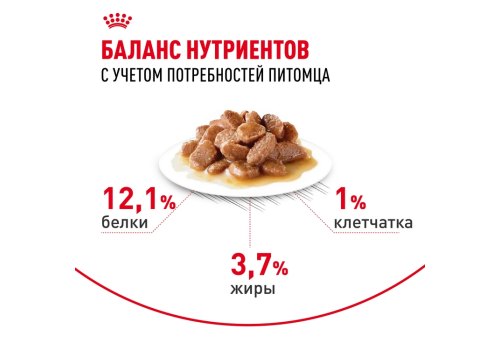 Royal Canin Hair & Skin Care Gravy / Влажный корм (Консервы-Паучи) Роял Канин Хэйр & Скин Кэа для кошек Здоровая кожа и шерсть в Соусе (цена за упаковку)