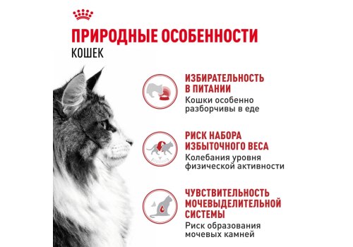 Royal Canin Instinctive Jelly / Влажный корм (Консервы-Паучи) Роял Канин Инстинктив для Взрослых кошек старше 1 года в Желе (цена за упаковку)