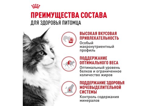 Royal Canin Instinctive Jelly / Влажный корм (Консервы-Паучи) Роял Канин Инстинктив для Взрослых кошек старше 1 года в Желе (цена за упаковку)
