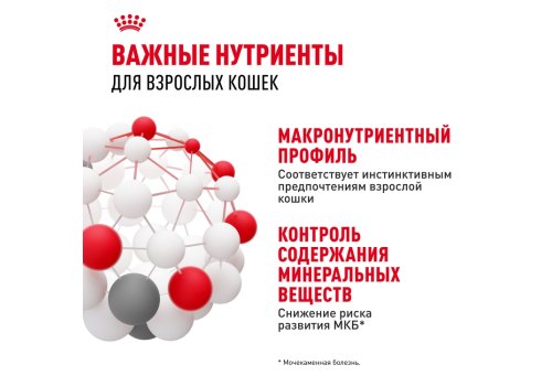 Royal Canin Instinctive Jelly / Влажный корм (Консервы-Паучи) Роял Канин Инстинктив для Взрослых кошек старше 1 года в Желе (цена за упаковку)