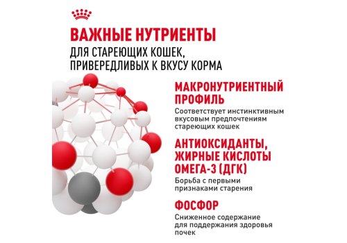 Royal Canin Instinctive 7+ / Влажный корм (Консервы-Паучи) Роял Канин Инстинктив для Пожилых кошек старше 7 лет в Соусе (цена за упаковку)