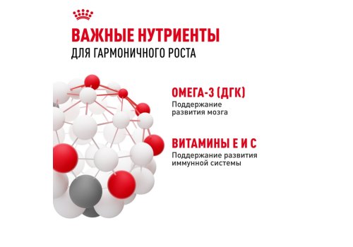 Royal Canin Kitten Instinctive Jelly / Влажный корм (Консервы-Паучи) Роял Канин Киттен Инстинктив для Котят в возрасте от 4 до 12 месяцев в Желе (цена за упаковку)