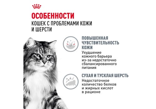 Royal Canin Hair & Skin Care Jelly / Влажный корм (Консервы-Паучи) Роял Канин Хэйр & Скин Кэа для кошек Здоровая кожа и шерсть в Желе (цена за упаковку)