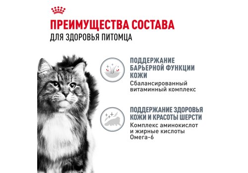 Royal Canin Hair & Skin Care Jelly / Влажный корм (Консервы-Паучи) Роял Канин Хэйр & Скин Кэа для кошек Здоровая кожа и шерсть в Желе (цена за упаковку)