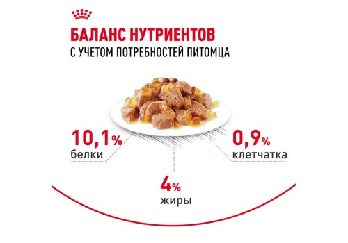 Royal Canin Hair & Skin Care Jelly / Влажный корм (Консервы-Паучи) Роял Канин Хэйр & Скин Кэа для кошек Здоровая кожа и шерсть в Желе (цена за упаковку)