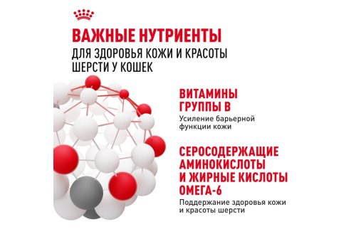 Royal Canin Hair & Skin Care Jelly / Влажный корм (Консервы-Паучи) Роял Канин Хэйр & Скин Кэа для кошек Здоровая кожа и шерсть в Желе (цена за упаковку)