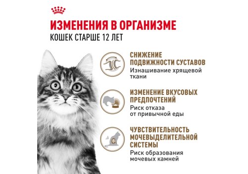 Royal Canin Ageing 12+ Jelly / Влажный корм (Консервы-Паучи) Роял Канин Эйжинг для Пожилых кошек старше 12 лет в Желе (цена за упаковку)