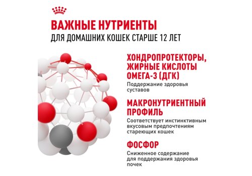 Royal Canin Ageing 12+ Jelly / Влажный корм (Консервы-Паучи) Роял Канин Эйжинг для Пожилых кошек старше 12 лет в Желе (цена за упаковку)