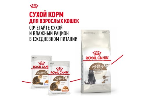 Royal Canin Ageing 12+ Jelly / Влажный корм (Консервы-Паучи) Роял Канин Эйжинг для Пожилых кошек старше 12 лет в Желе (цена за упаковку)