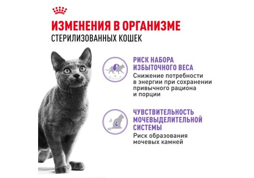 Royal Canin Sterilised Jelly / Влажный корм (Консервы-Паучи) Роял Канин Стерилайзд для взрослых кастрированных котов и Стерилизованных кошек в Желе (цена за упаковку)