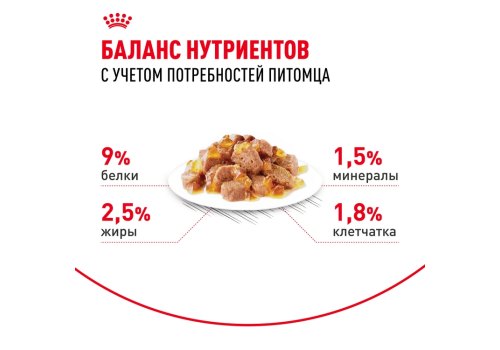 Royal Canin Sterilised Jelly / Влажный корм (Консервы-Паучи) Роял Канин Стерилайзд для взрослых кастрированных котов и Стерилизованных кошек в Желе (цена за упаковку)