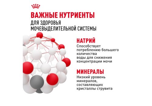 Royal Canin Urinary Care Sause / Влажный корм (Консервы-Паучи) Роял Канин Уринари Кэа для кошек Профилактика Мочекаменных болезней в Соусе (цена за упаковку)