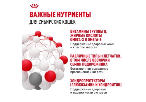 Royal Canin Breed cat Siberian / Сухой корм Роял Канин для взрослых кошек Сибирской породы старше 1 года